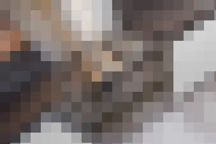 Oude Singel 25 Oudewater thumbnail 10