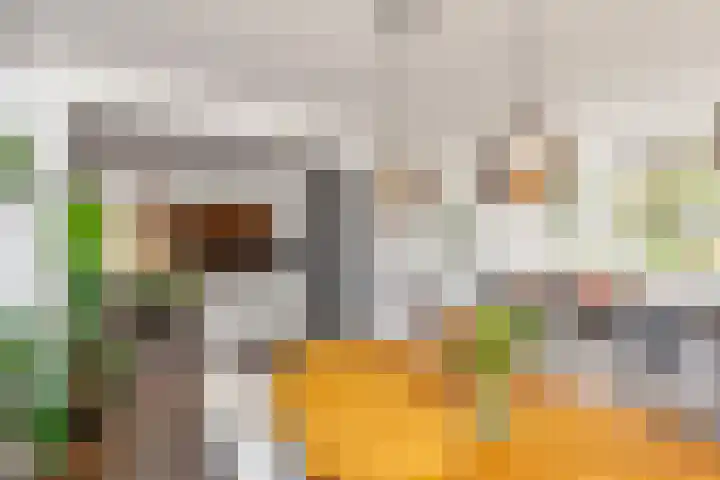 Oude Singel 25 Oudewater thumbnail 14