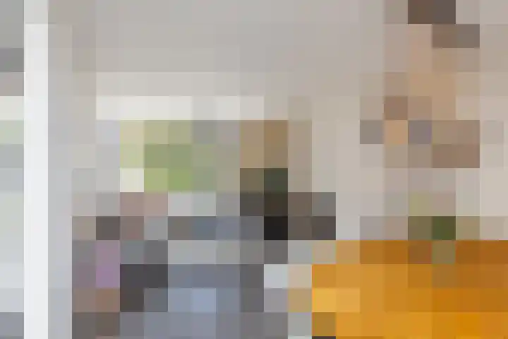 Oude Singel 25 Oudewater thumbnail 15