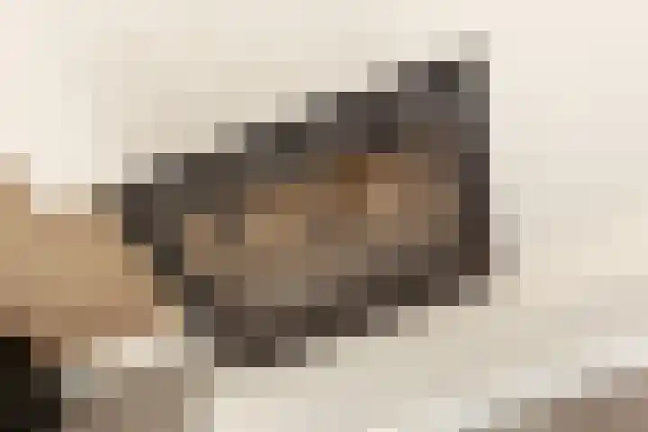 Oude Singel 25 Oudewater thumbnail 20