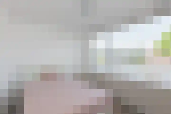 Oude Singel 25 Oudewater thumbnail 29