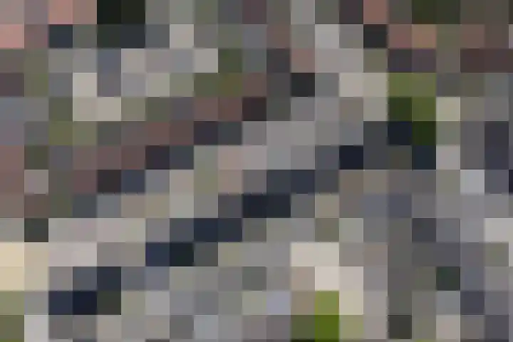 Oude Singel 25 Oudewater thumbnail 45
