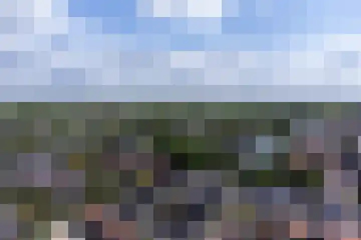 Oude Singel 25 Oudewater thumbnail 47