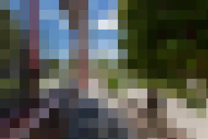 Oude Singel 25 Oudewater thumbnail 5