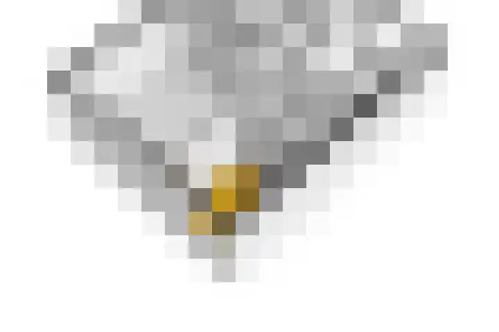 Oude Singel 25 Oudewater thumbnail 52