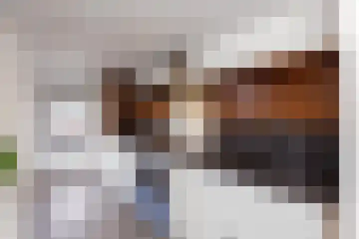 Oude Singel 25 Oudewater thumbnail 8