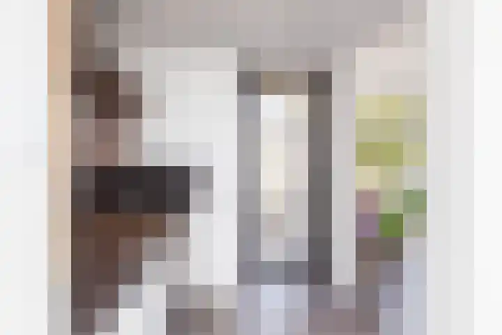 Oude Singel 25 Oudewater thumbnail 9