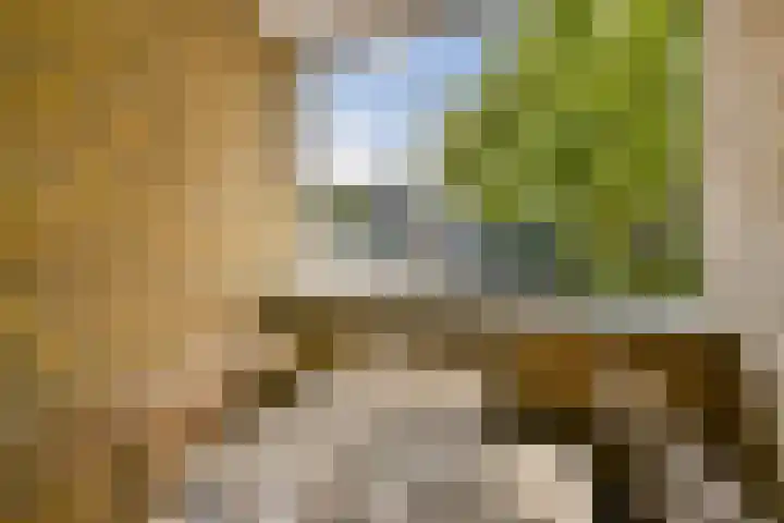 Oude Singel 252 Leiden thumbnail 11