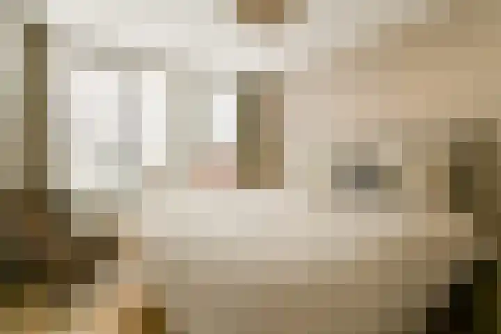 Oude Singel 252 Leiden thumbnail 12