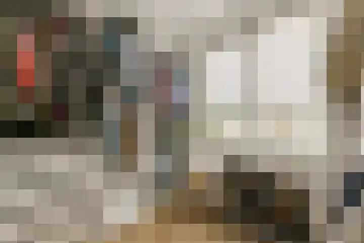 Oude Singel 252 Leiden thumbnail 16