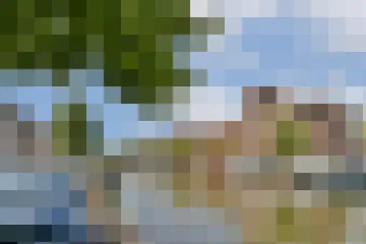 Oude Singel 252 Leiden thumbnail 19