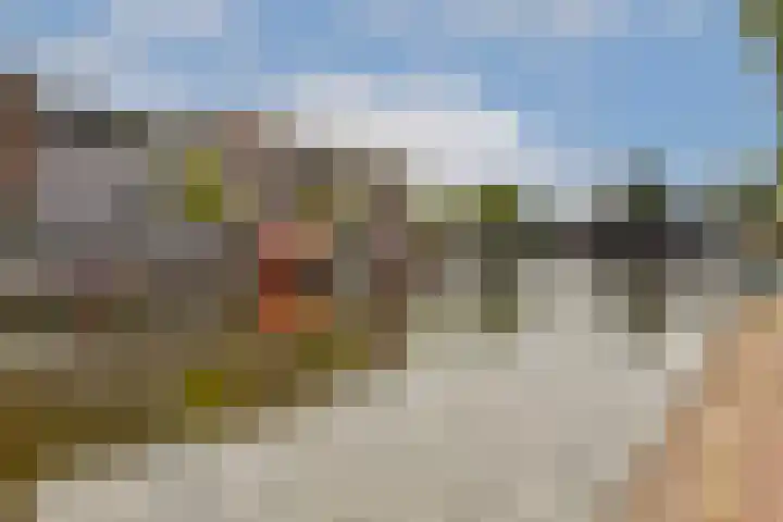 Oude Singel 252 Leiden thumbnail 20