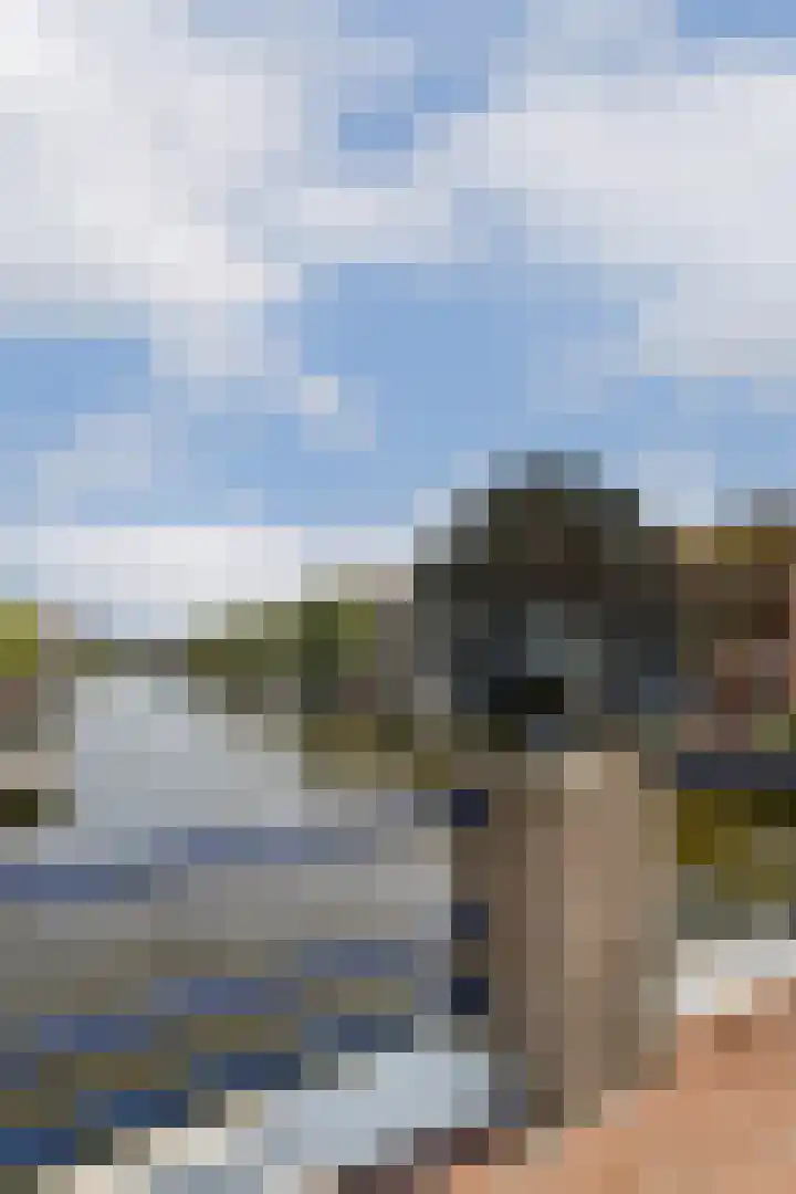 Oude Singel 252 Leiden thumbnail 21
