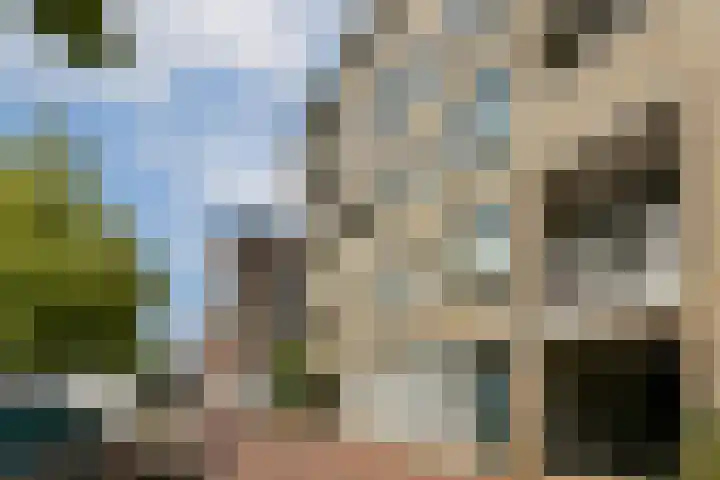 Oude Singel 252 Leiden thumbnail 22