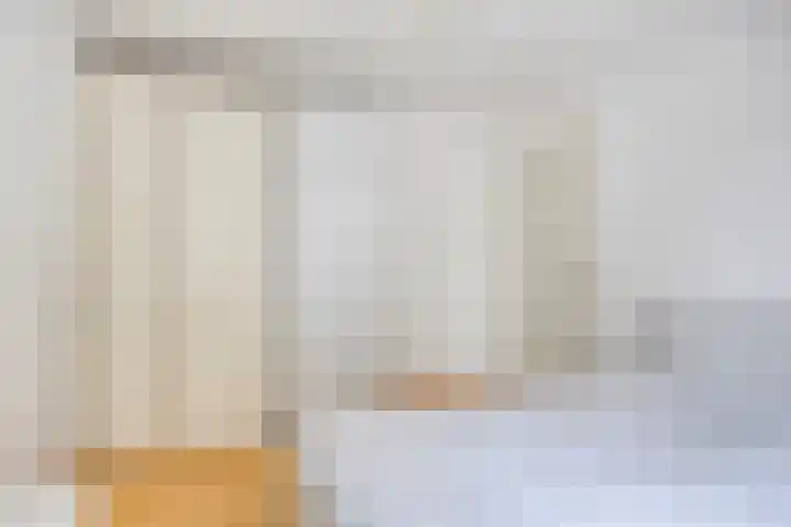 Oude Singel 256 Leiden thumbnail 16