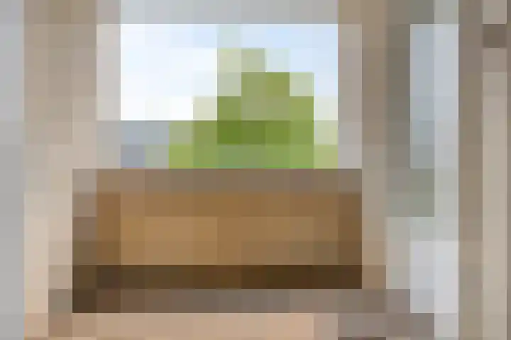 Oude Singel 256 Leiden thumbnail 23