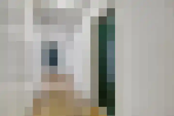 Oude Singel 256 Leiden thumbnail 25