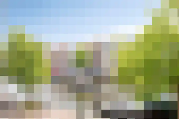 Oude Singel 256 Leiden thumbnail 26