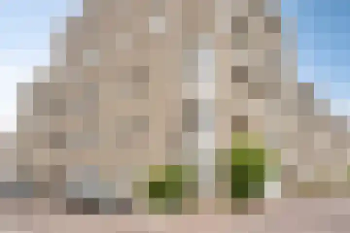Oude Singel 256 Leiden thumbnail 31
