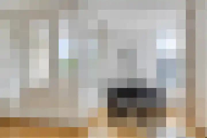Oude Singel 256 Leiden thumbnail 9