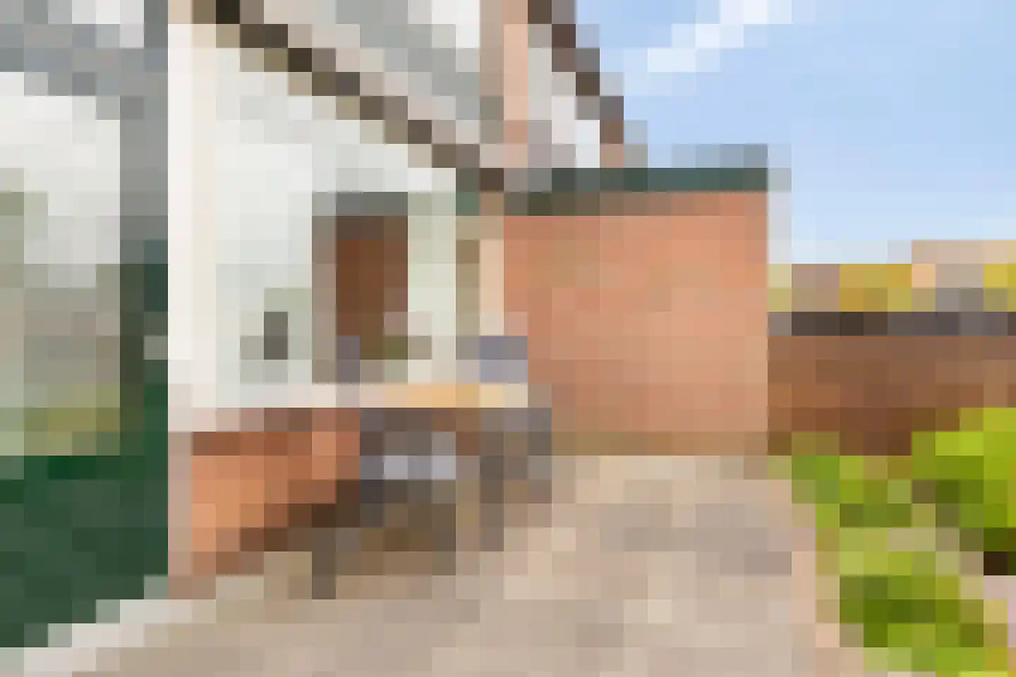 Oude Singel 27 Oudewater thumbnail 9