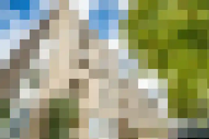 Oude Singel 272 Leiden thumbnail 36