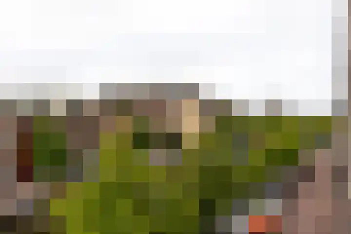 Oude Singel 274 Leiden thumbnail 21