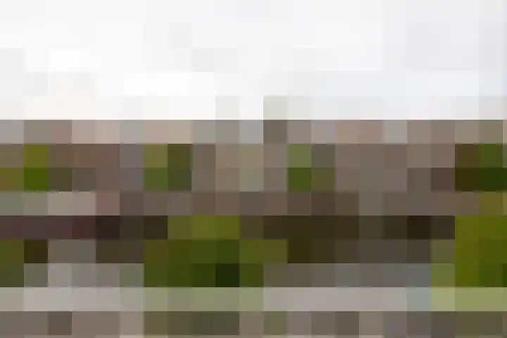 Oude Singel 274 Leiden thumbnail 22