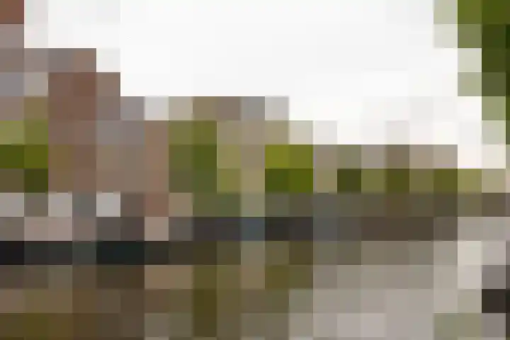 Oude Singel 274 Leiden thumbnail 23