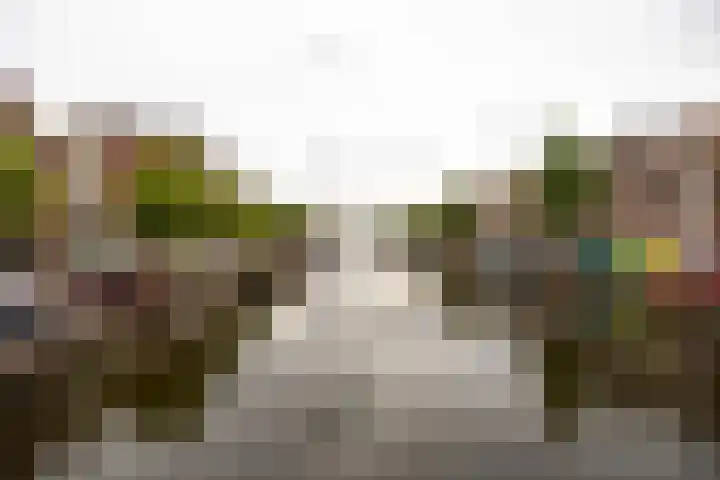 Oude Singel 274 Leiden thumbnail 24