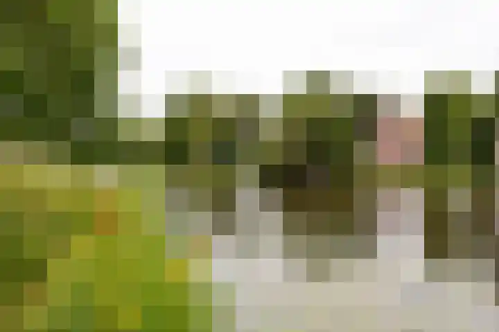 Oude Singel 274 Leiden thumbnail 28