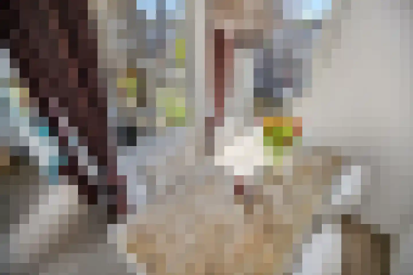 Oude Singel 276 Leiden thumbnail 14