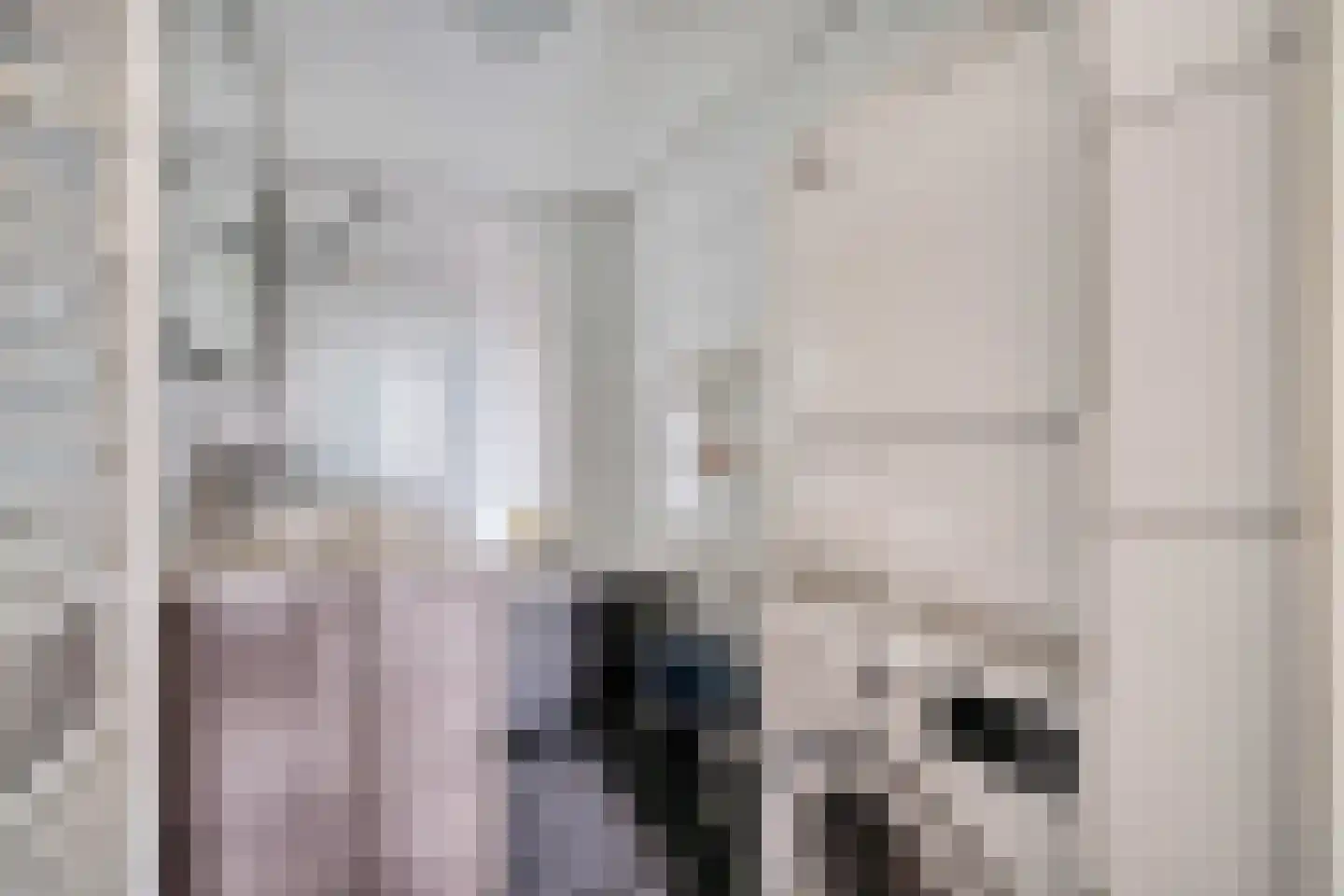 Oude Singel 276 Leiden thumbnail 27