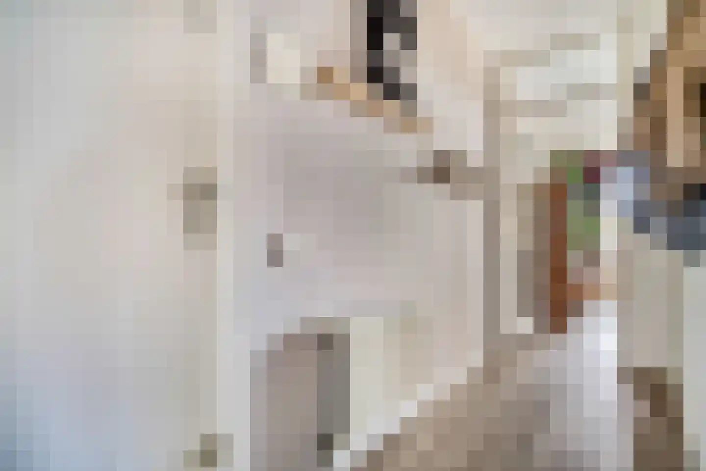 Oude Singel 276 Leiden thumbnail 37