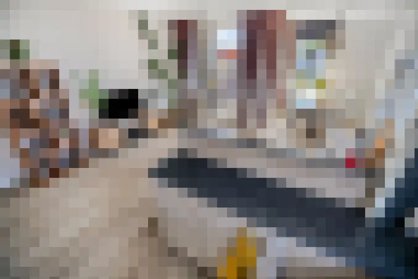 Oude Singel 276 Leiden thumbnail 4