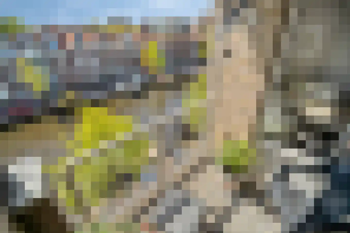 Oude Singel 276 Leiden thumbnail 9