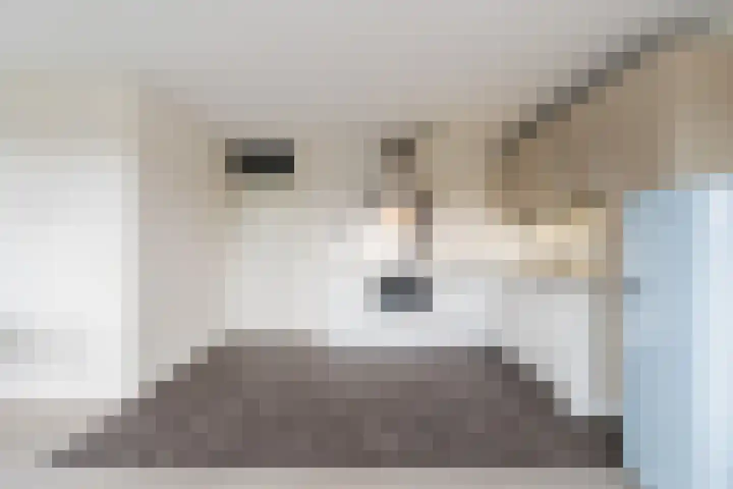 Oude Singel 334 Leiden thumbnail 21