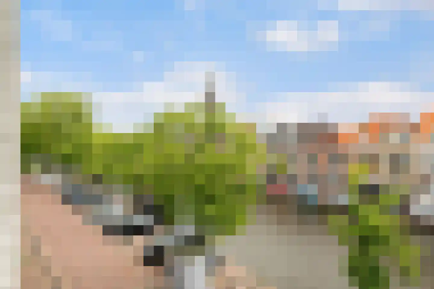 Oude Singel 334 Leiden thumbnail 29