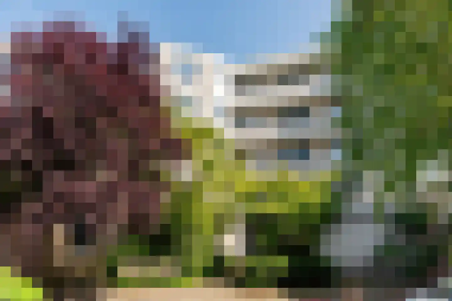 Oude Singel 334 Leiden thumbnail 51
