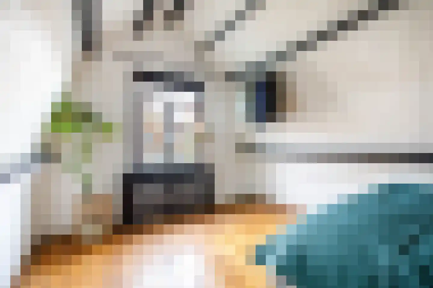 Oude Singel 42 Schoonhoven thumbnail 19
