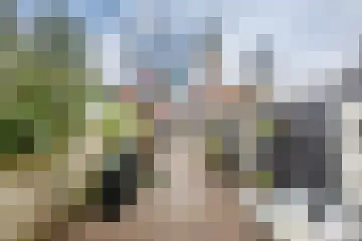 Oude Singel 42 Schoonhoven thumbnail 27