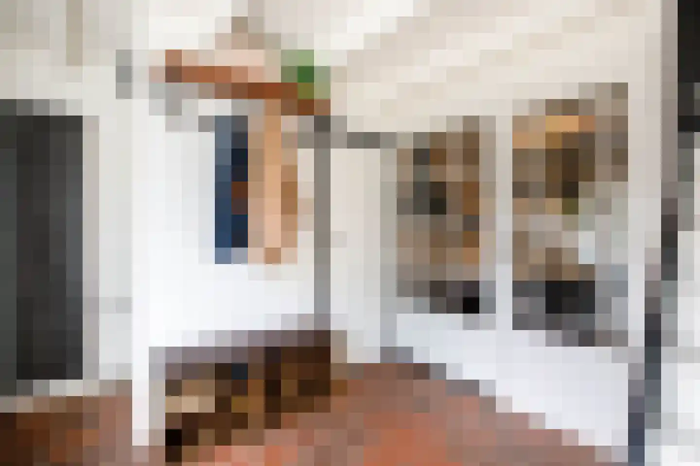 Oude Singel 42 Schoonhoven thumbnail 6