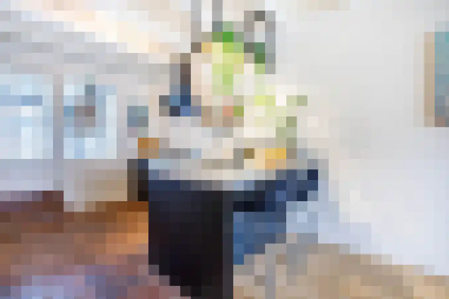 Oude Singel 42 Schoonhoven thumbnail 8