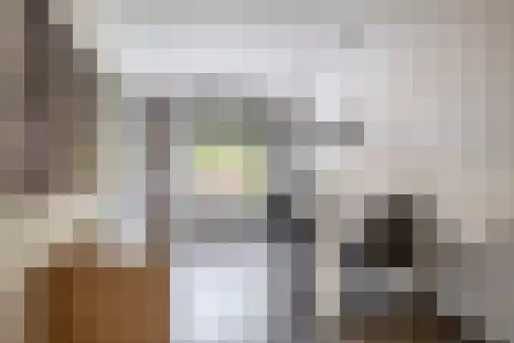 Oude Singel 46 Schoonhoven thumbnail 10