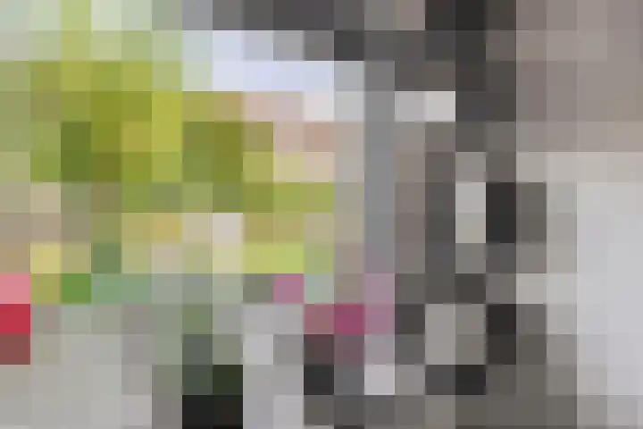 Oude Singel 46 Schoonhoven thumbnail 11