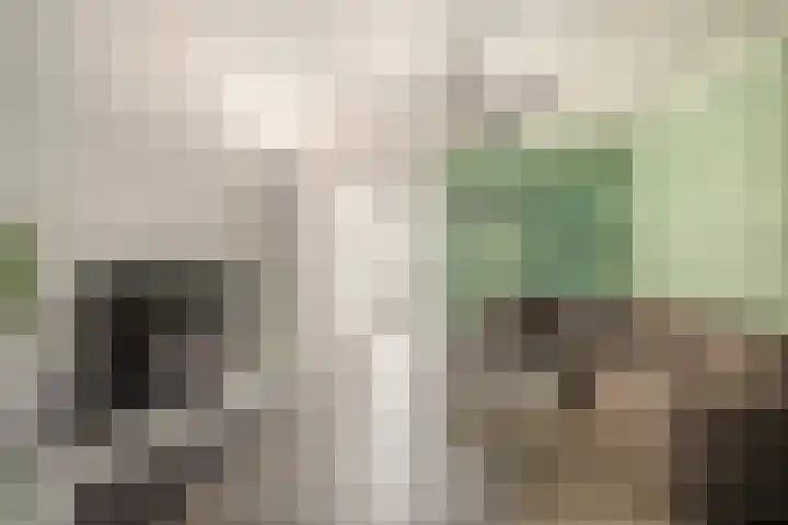 Oude Singel 46 Schoonhoven thumbnail 13