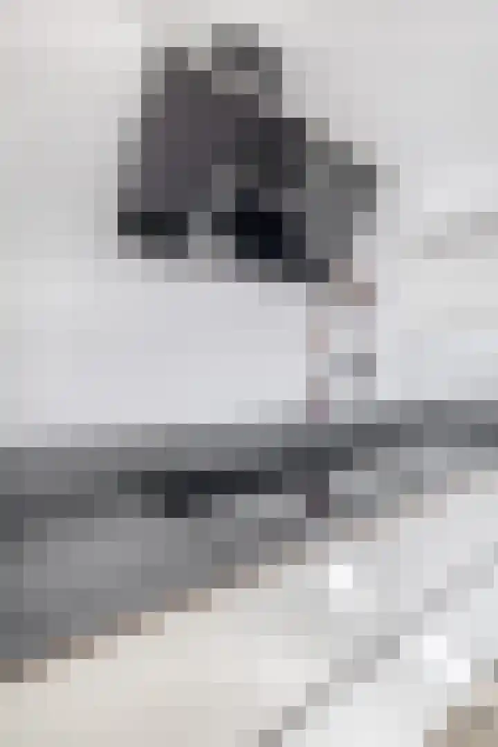 Oude Singel 46 Schoonhoven thumbnail 18
