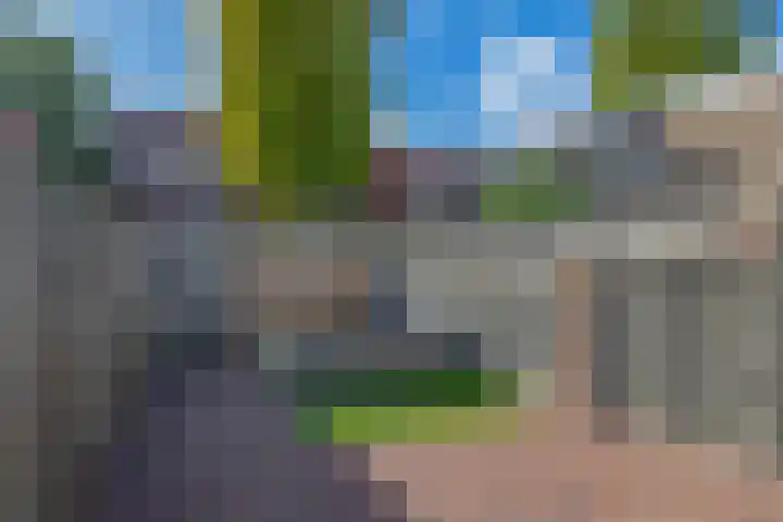 Oude Singel 46 Schoonhoven thumbnail 20