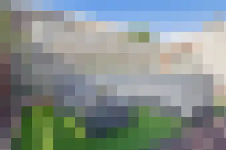 Oude Singel 46 Schoonhoven thumbnail 22
