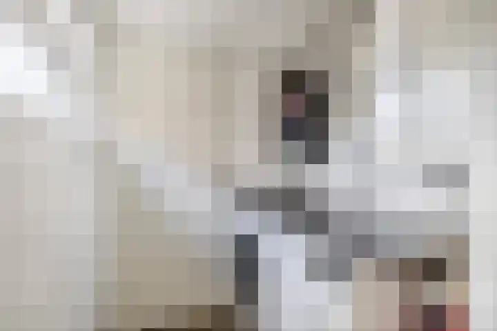 Oude Singel 46 Schoonhoven thumbnail 31